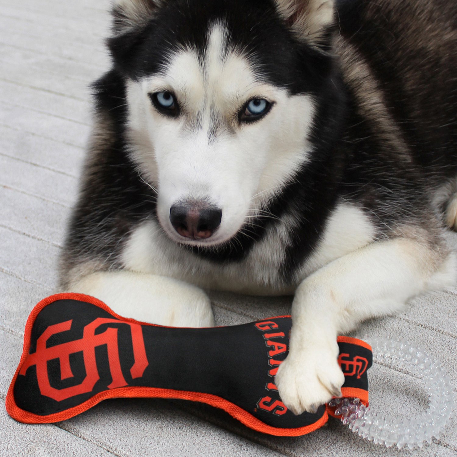 Pets First San Francisco Giants Dental Tug Dog Toy - view number 3