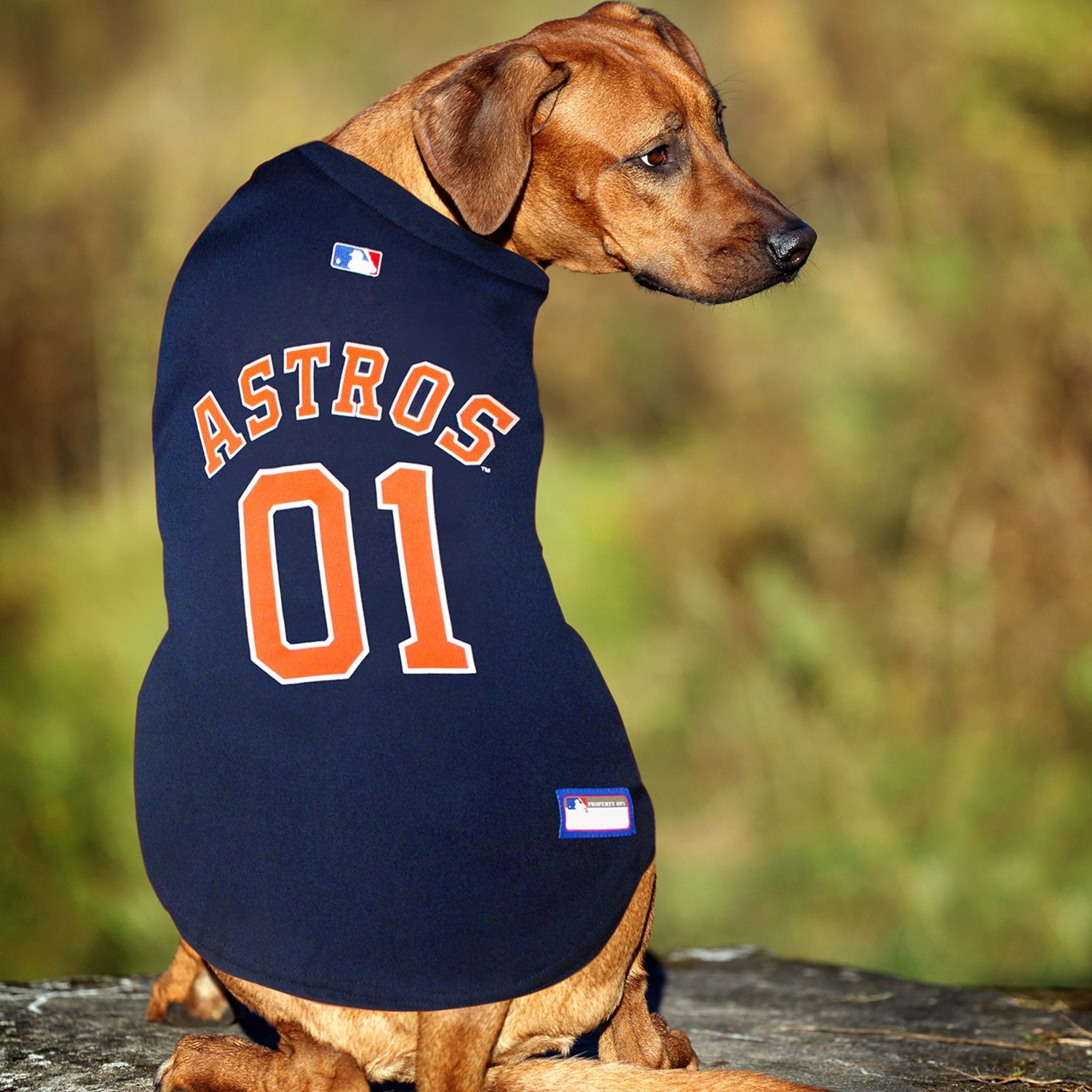 Pets First MLB Houston Astros Mesh Jersey for Dogs and Cats - Licensed Soft  Poly-Cotton Sports Jersey - Medium