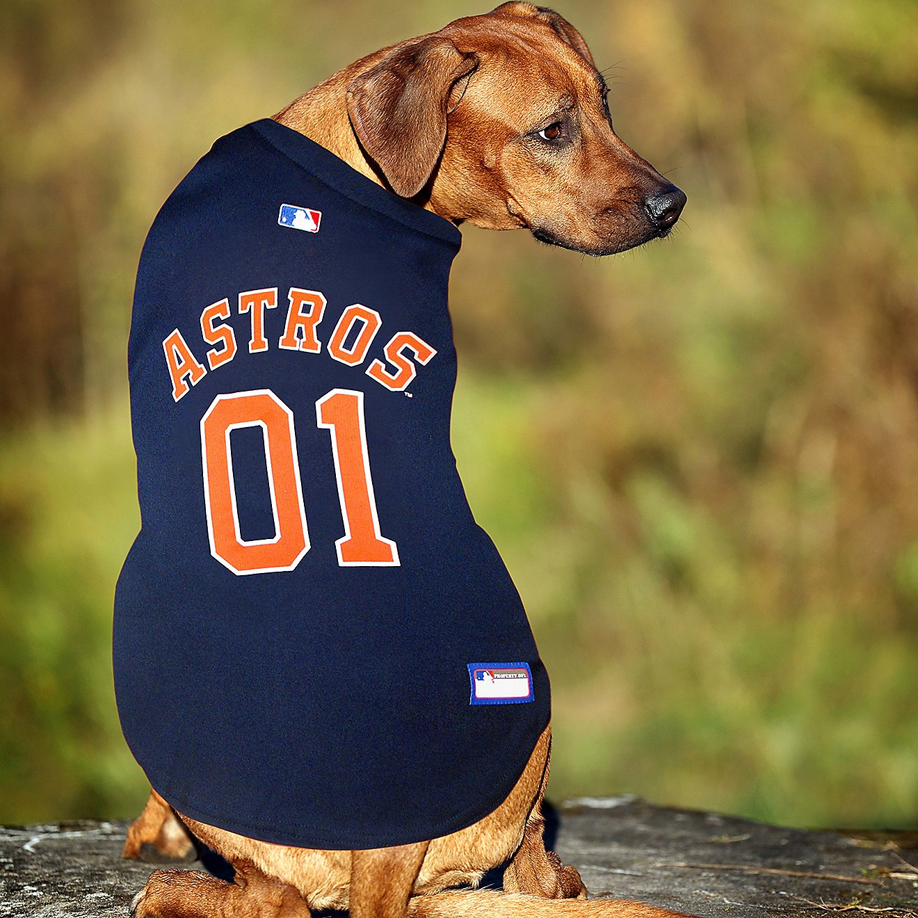 astros puppy jersey