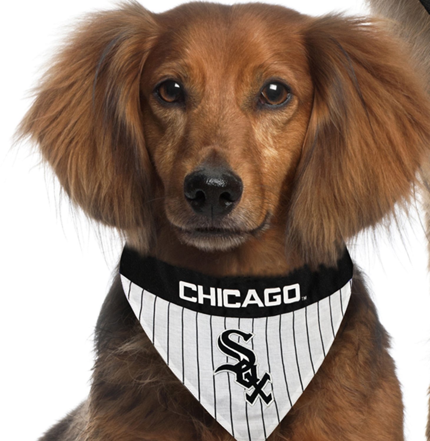 Pets First Chicago White Sox Reversible Dog Bandana
