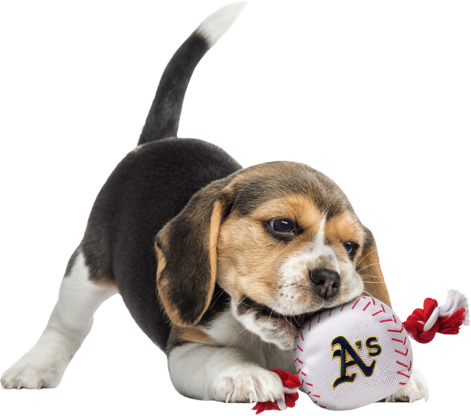 Pets First Oakland Athletics Baseball Rope Dog Toy Academy