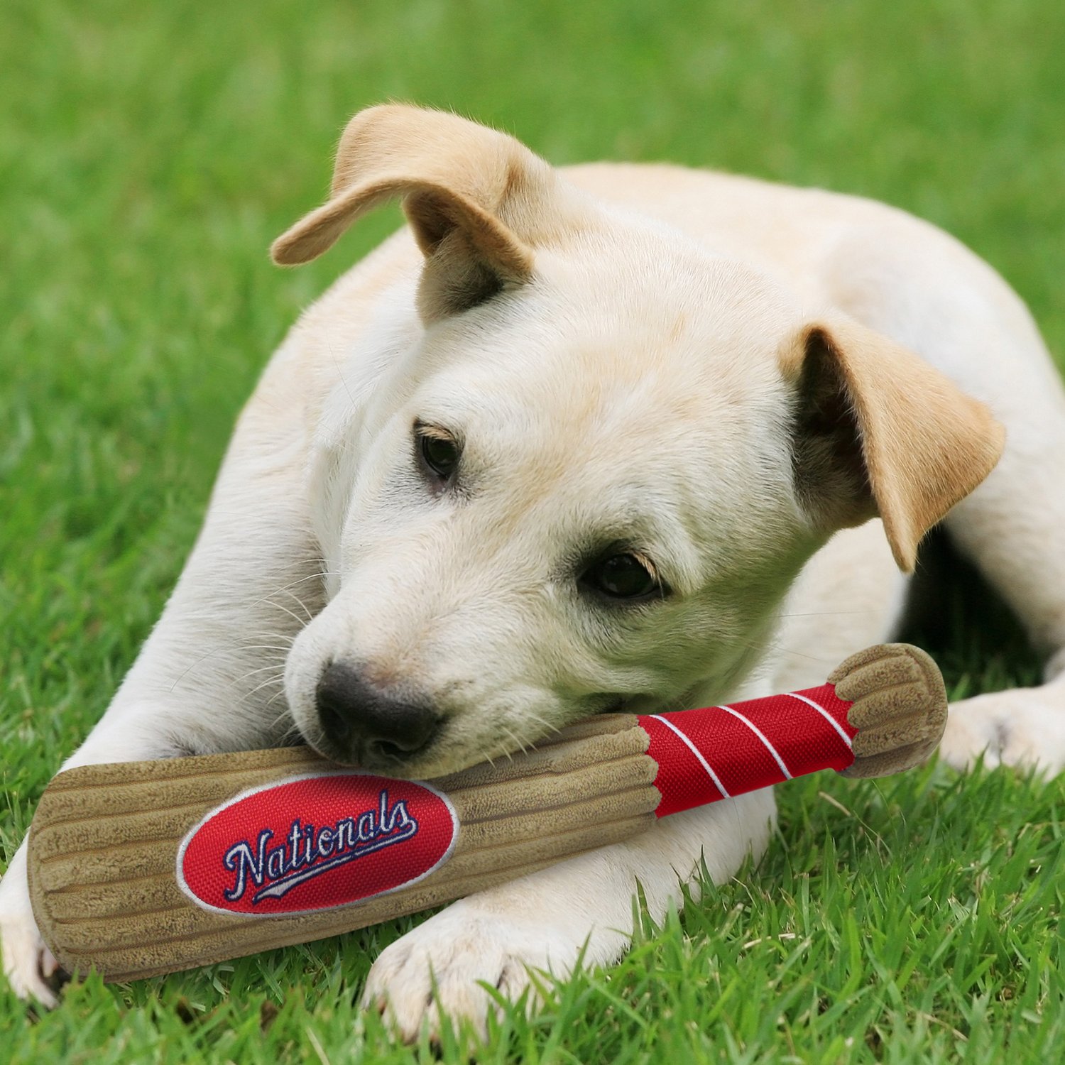 Pets First Washington Nationals Baseball Bat Dog Toy Academy