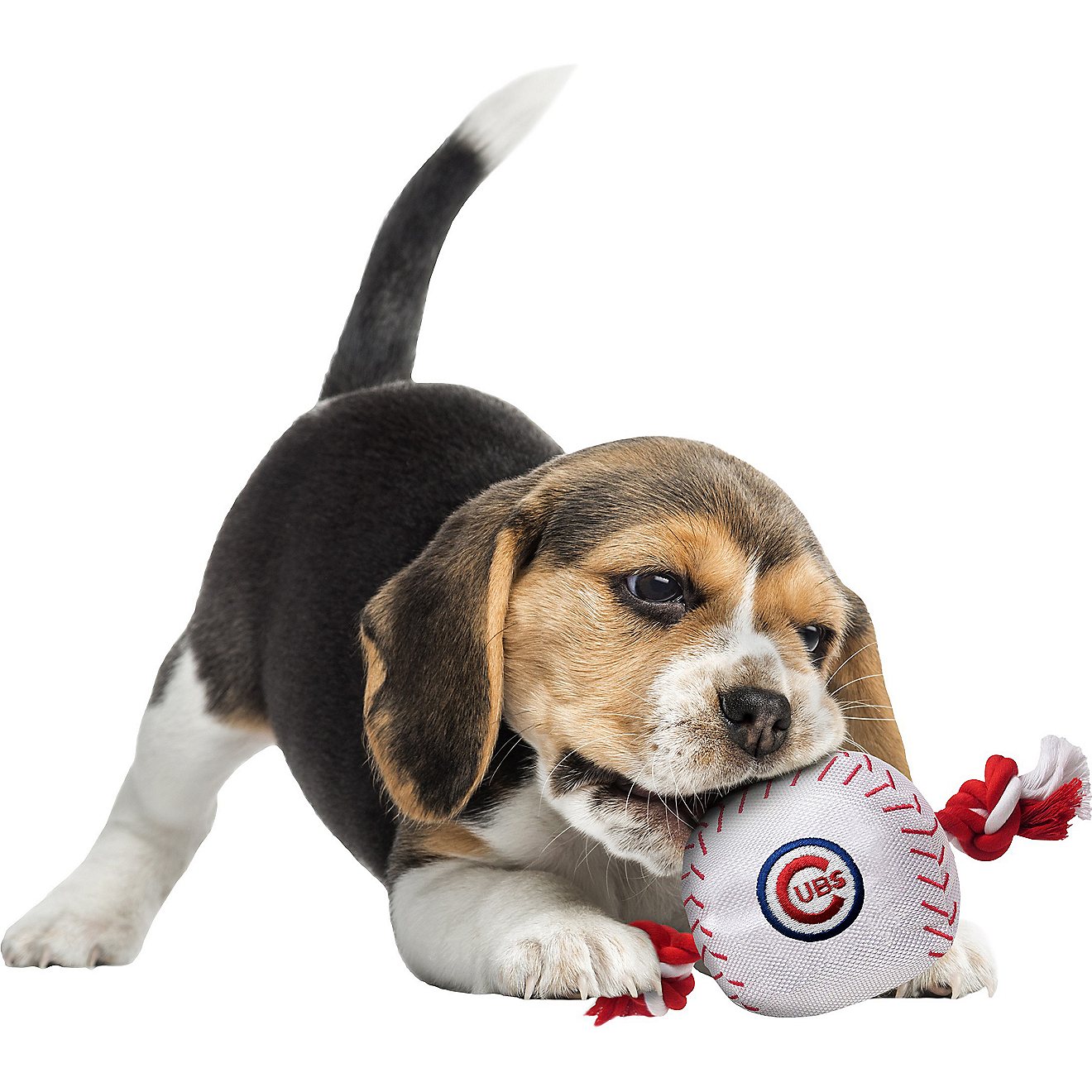 Pets First Chicago Cubs Baseball Rope Dog Toy                                                                                    - view number 2