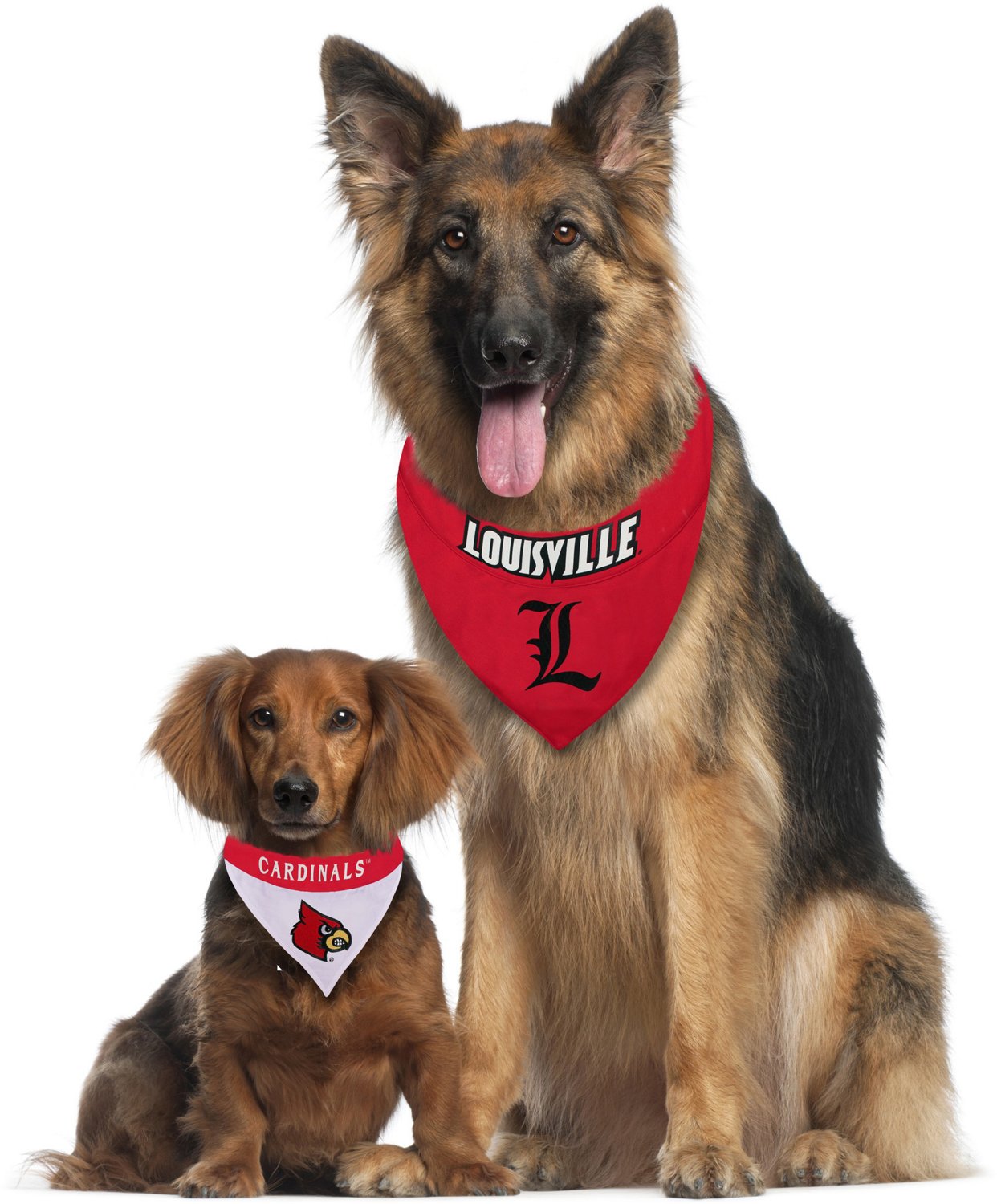 University of Louisville Dog Jersey