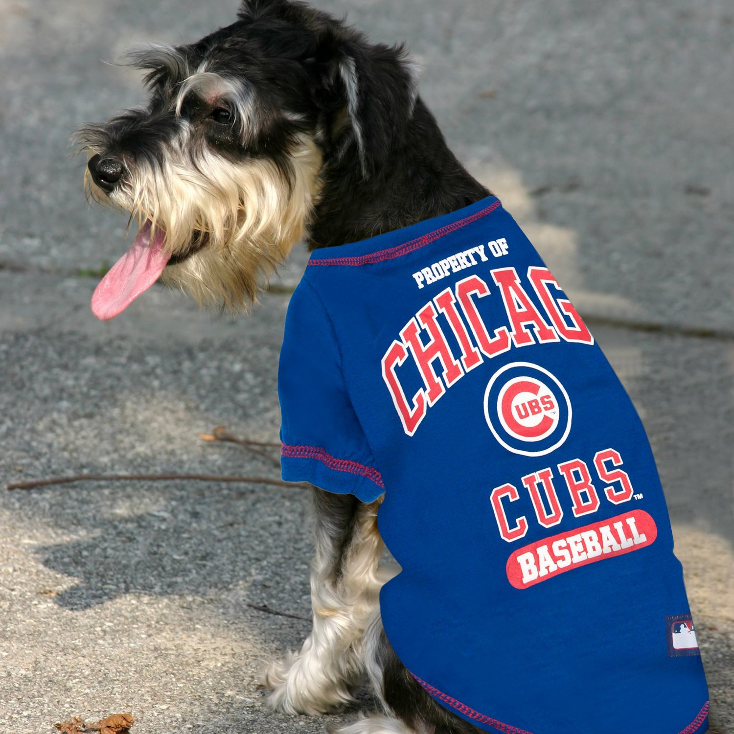 Pets First MLB Retro Throwback Jersey for Dogs, Small, Chicago Cubs