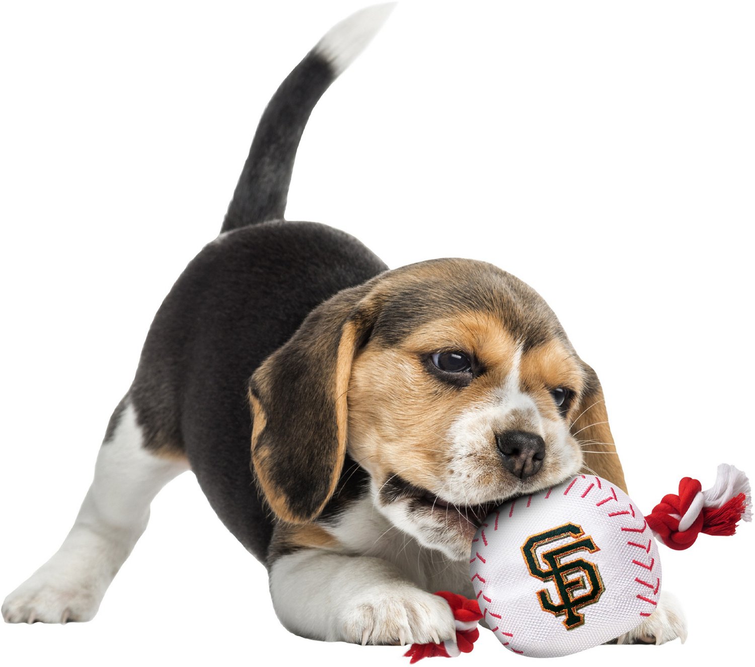 Pets First San Francisco Giants Nylon Baseball Rope Dog Toy - view number 2