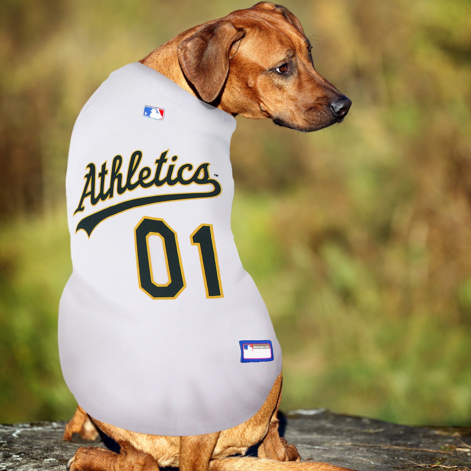 Pets First Oakland Athletics Mesh Dog Jersey