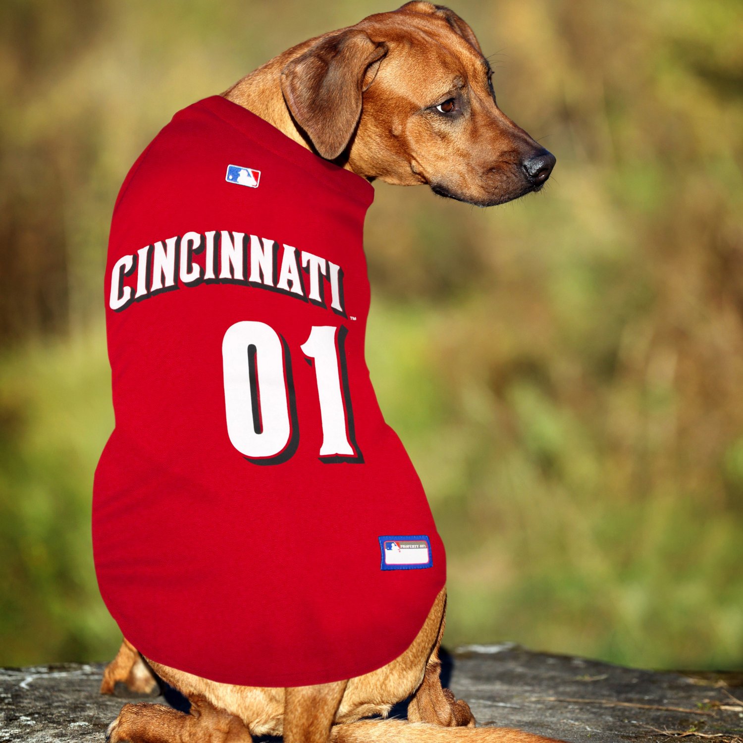 Pets First Cincinnati Reds Mesh Dog Jersey - view number 3