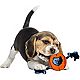 Pets First Memphis Grizzlies Nylon Basketball Rope Dog Toy                                                                       - view number 2 image
