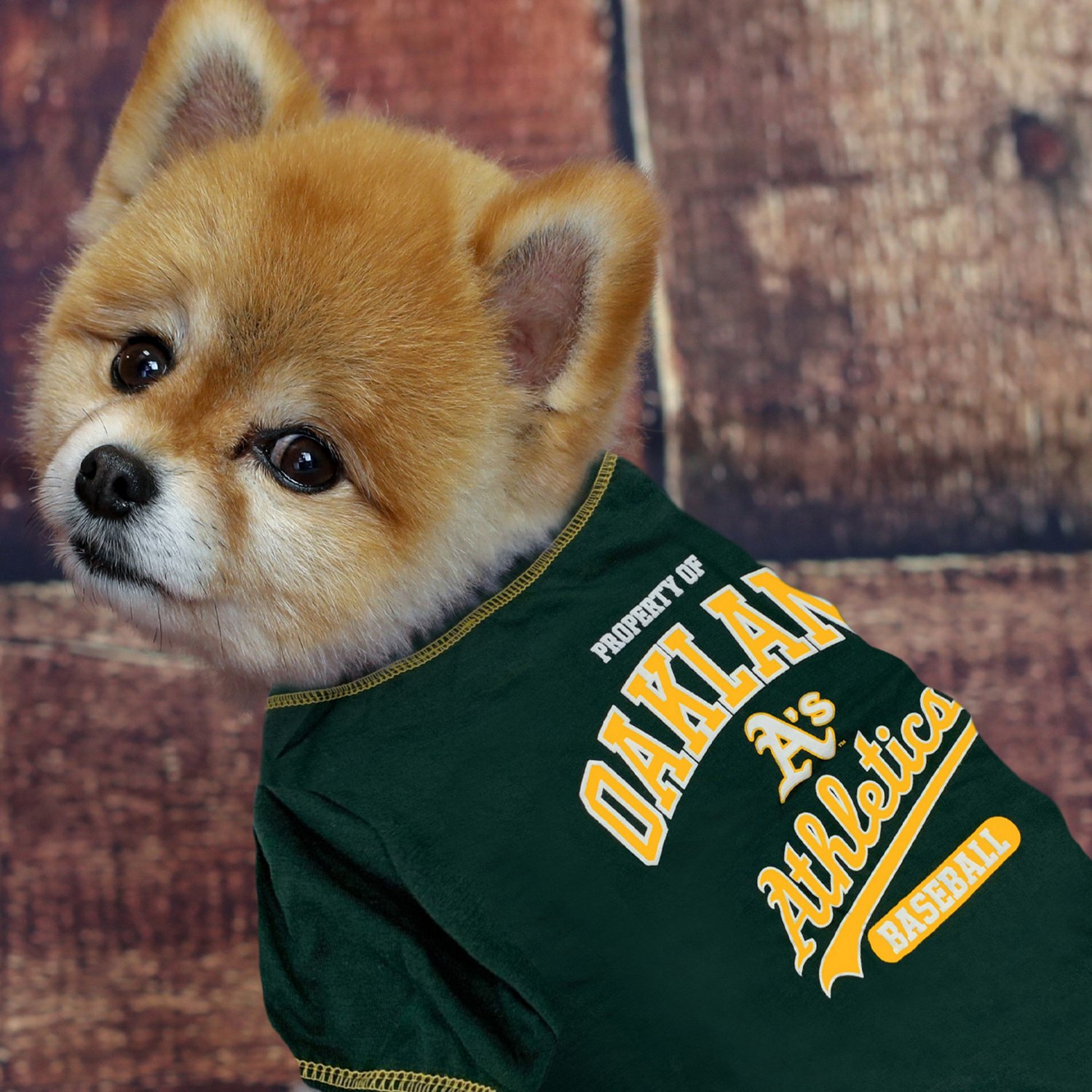 Oakland A's Green Pet T-Shirt