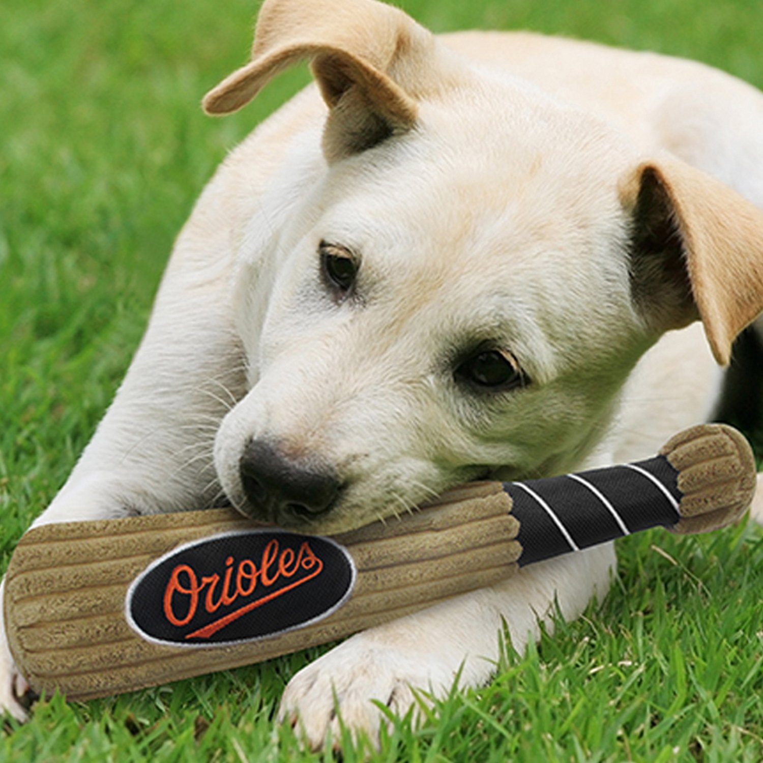 Pets First Baltimore Orioles Baseball Bat Dog Toy Academy