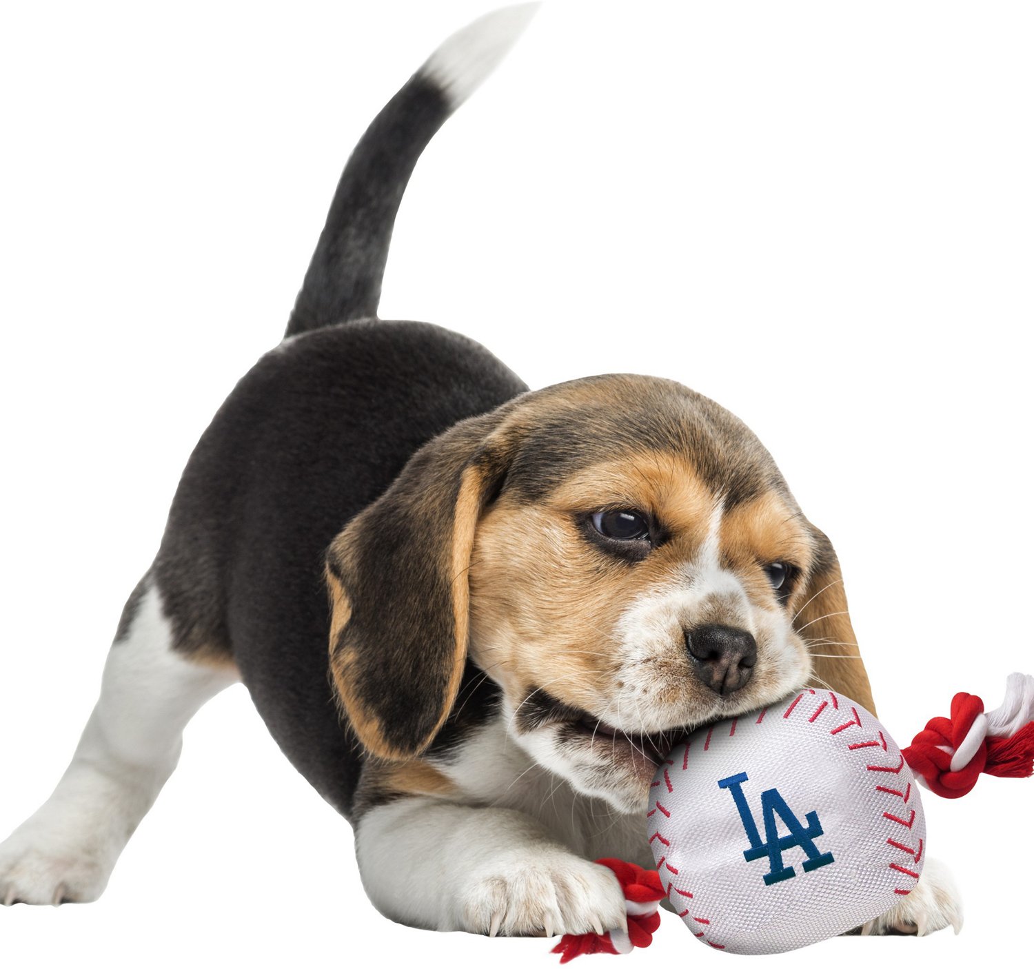 Pets First Los Angeles Dodgers Baseball Rope Dog Toy Academy