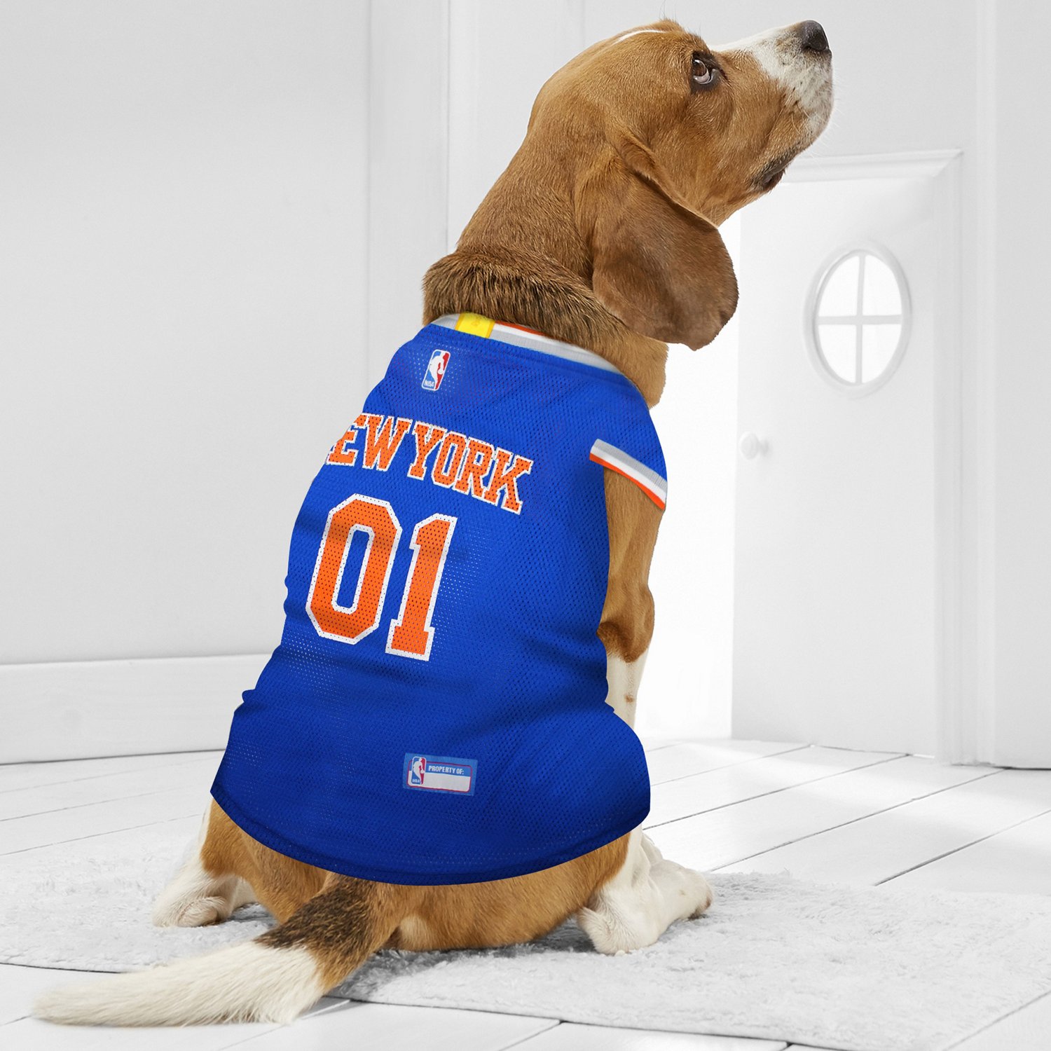 All Star Dogs: New York Knicks Pet apparel and accessories