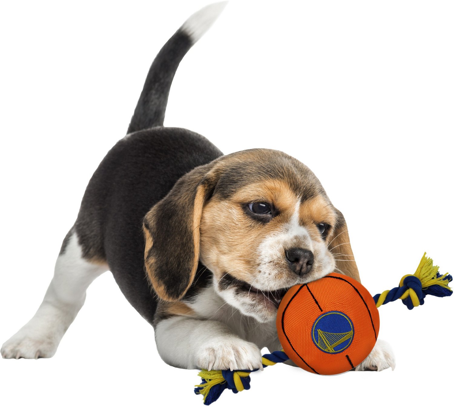 Pets First Golden State Warriors Nylon Basketball Rope Dog Toy