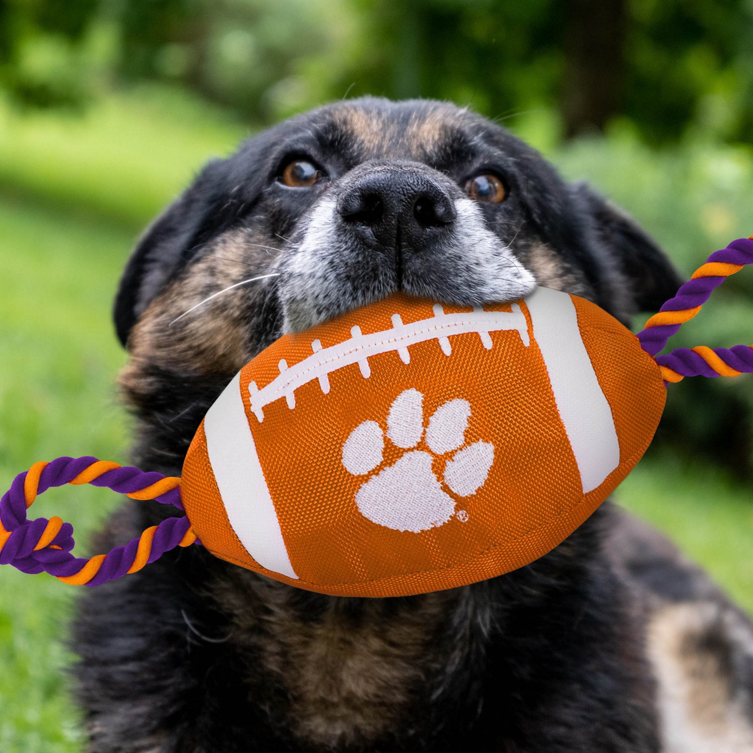 Pets First Clemson University Nylon Football Rope Dog Toy Academy