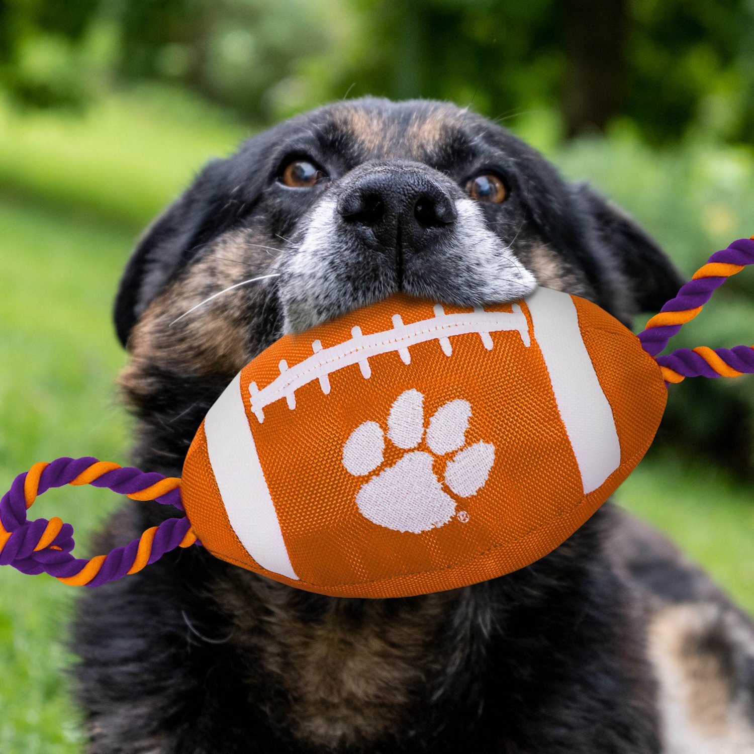 Pets First Clemson University Nylon Football Rope Dog Toy