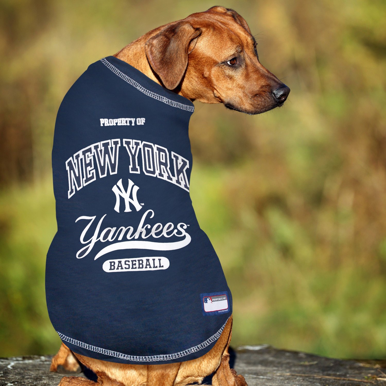 Pets First New York Yankees Dog T-shirt