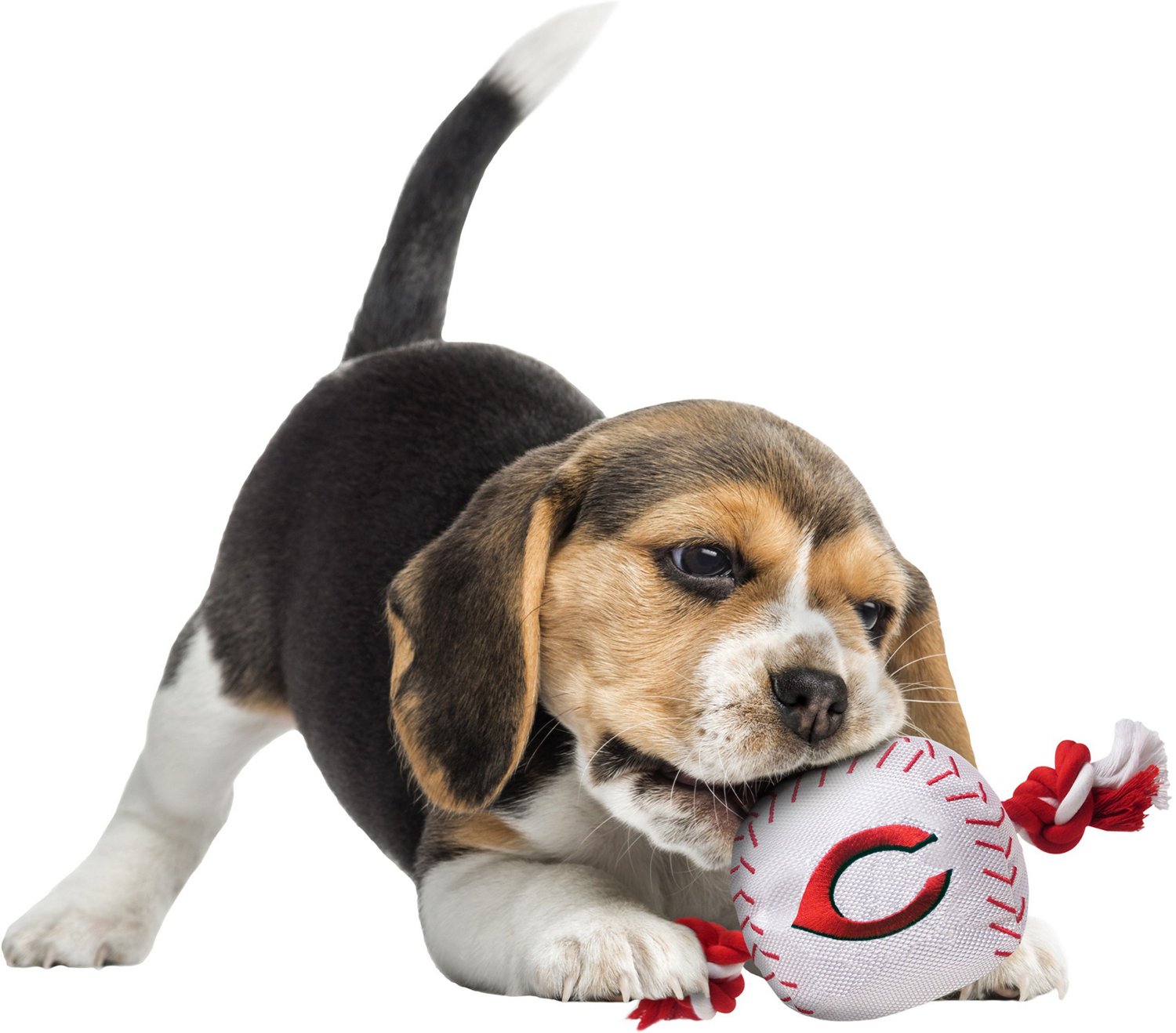 Pets First Cincinnati Reds Nylon Baseball Rope Dog Toy - view number 2