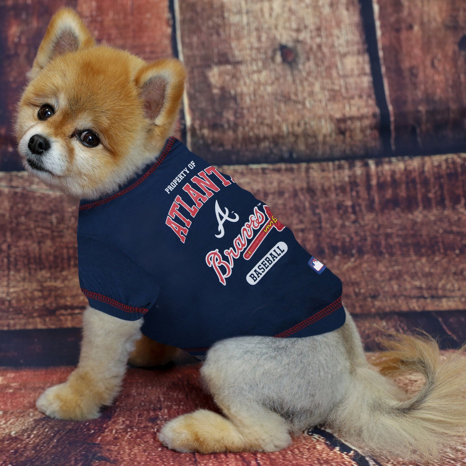 Pets First Atlanta Braves Dog Tshirt Free Shipping at Academy