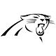 Tervis Carolina Panthers 12 oz Slim Can Cooler                                                                                   - view number 2