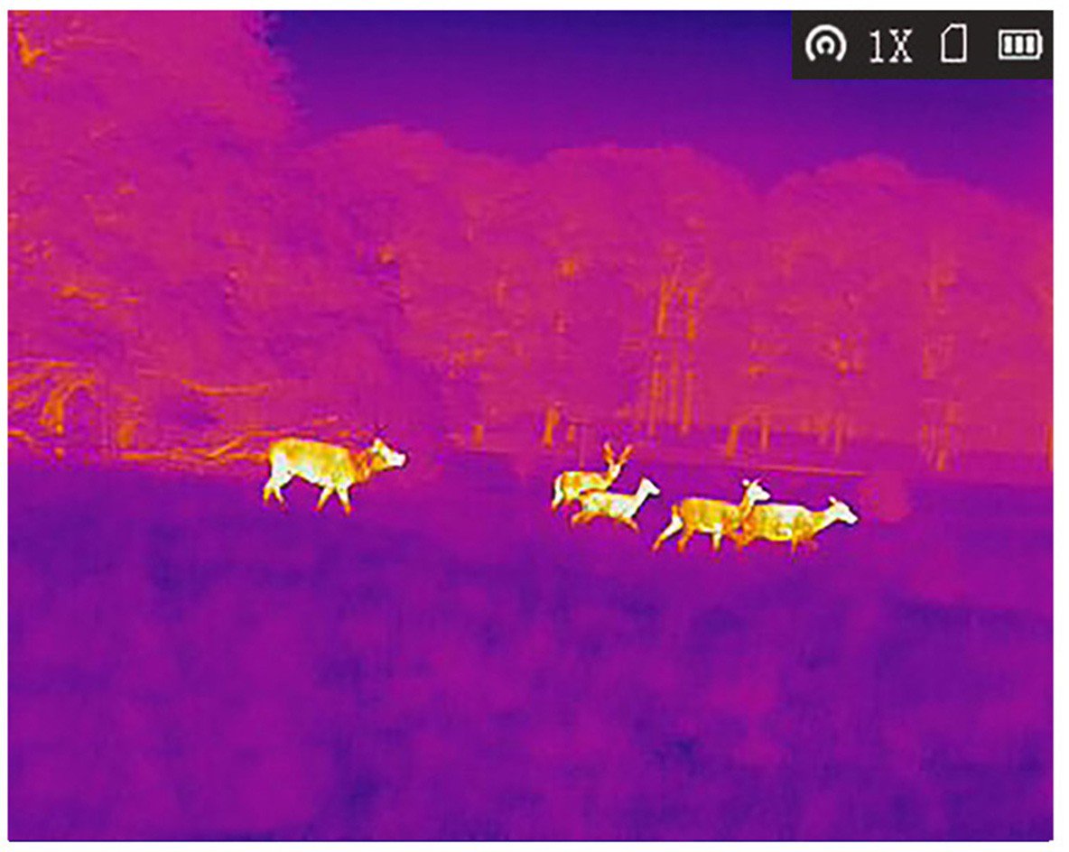 AGM Global Vision Taipan TM15-256 1.42-11.36x15mm Thermal Imaging Monocular                                                      - view number 6