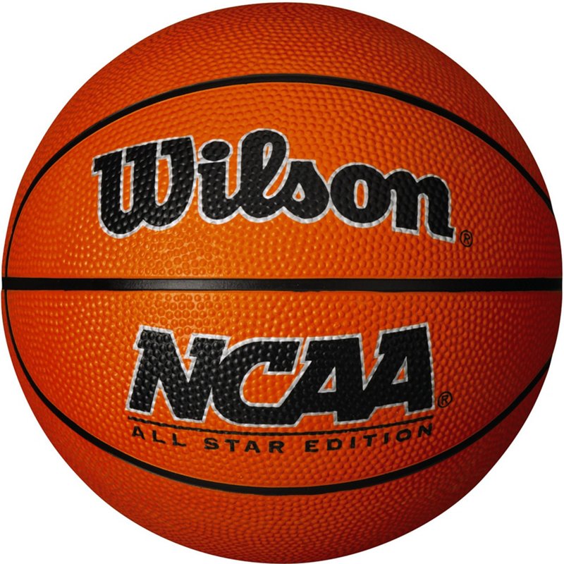 Wilson Mini Basketball Brown - Basketball Accessories at Academy Sports