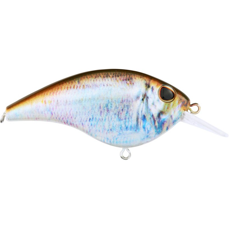 Berkley Frittside 5 Biggun' Hard Swimbaits Blue - Frsh Water Hard Baits at Academy Sports