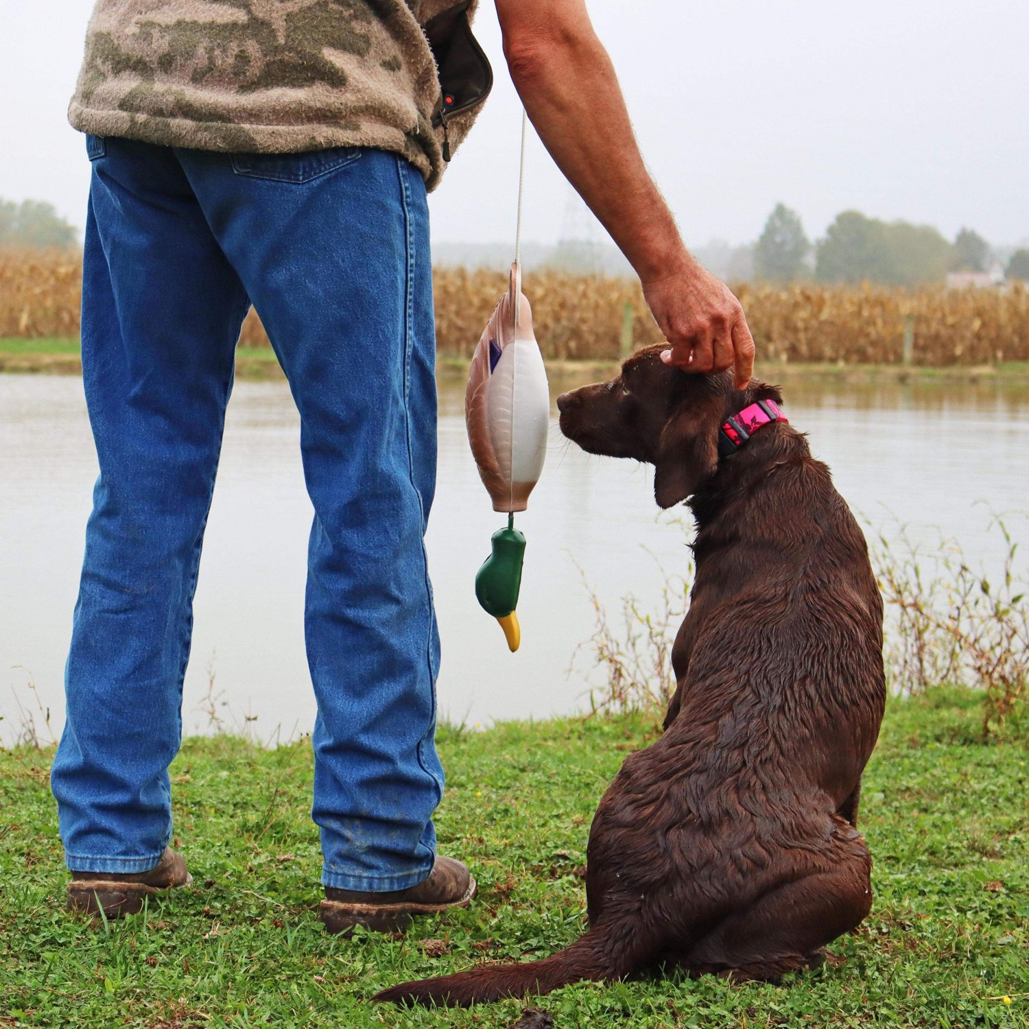 Water & Woods Medium Foam Duck Trainer - view number 2