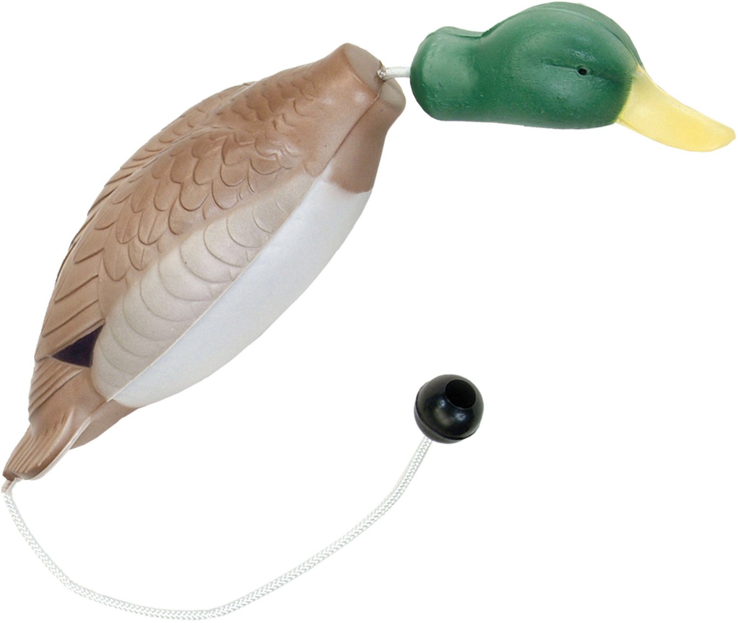 Duck dog training outlet kit