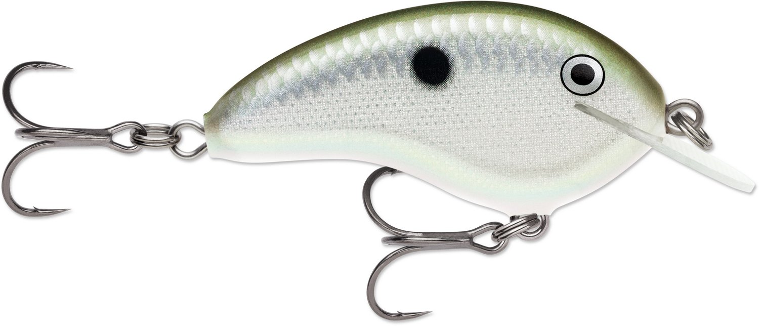 Rapala Ott's Garage Tiny 04 Shad Lure