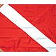 SeaSense Diver Down Flag                                                                                                         - view number 1 selected