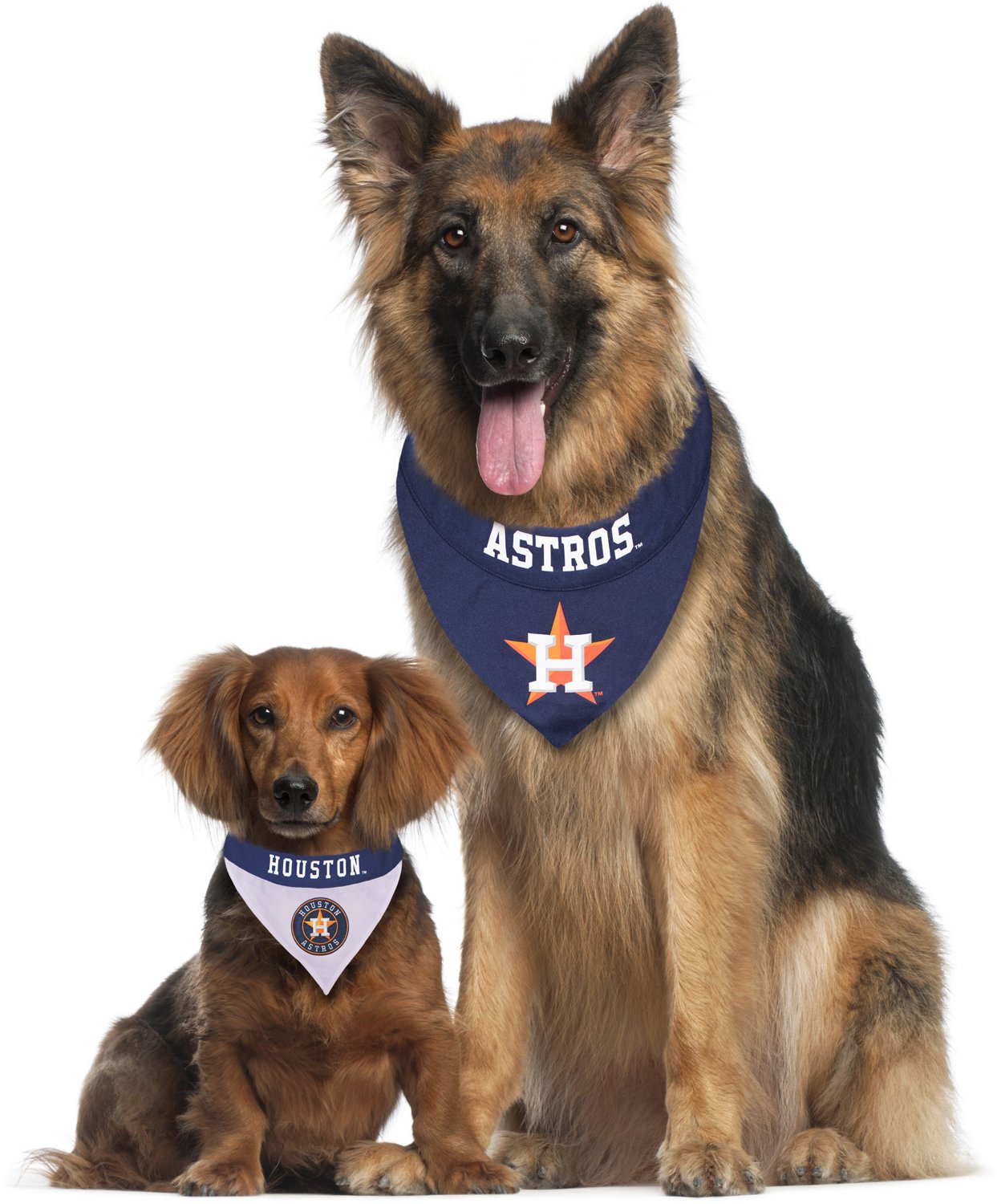 Houston Astros Rainbow Pet Harness by Pets First