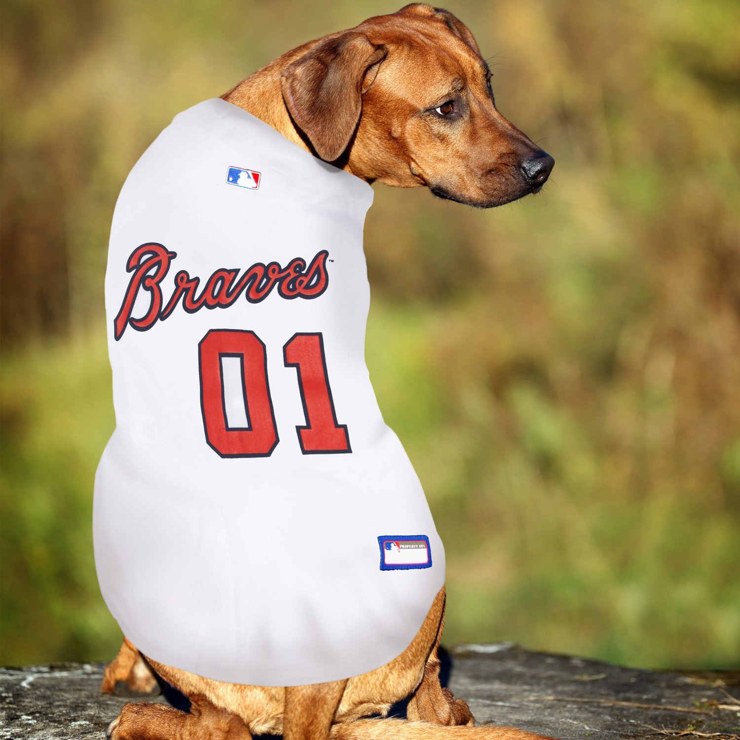 Pets First Atlanta Braves Mesh Dog Jersey