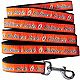Pets First Baltimore Orioles Dog Leash                                                                                           - view number 1 image