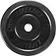Lifeline Olympic Rubber Bumper Plate                                                                                             - view number 2