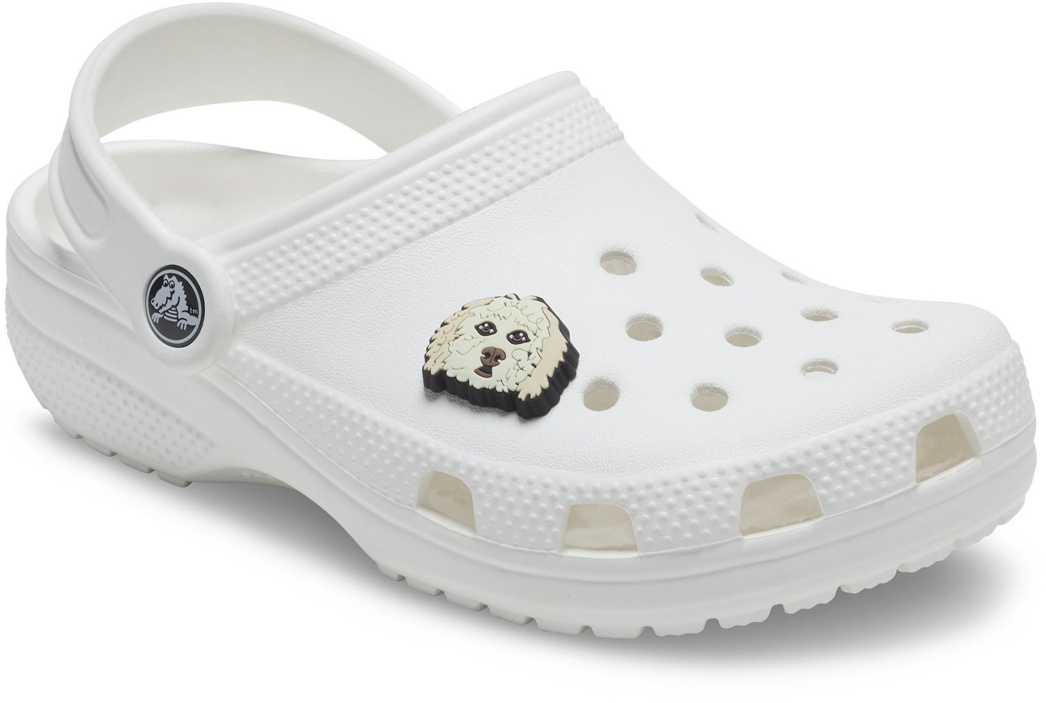 crocs golden