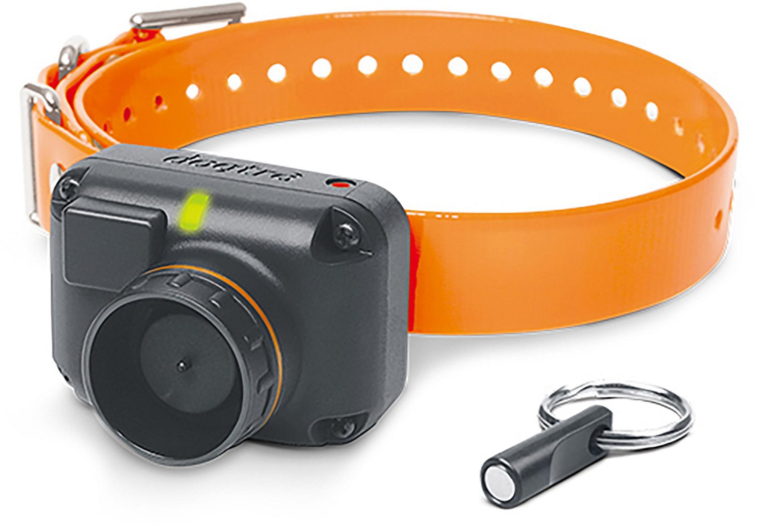 Dogtra STB Hawk Beeper Collar                                                                                                    - view number 1