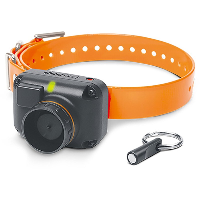 Dogtra Stb Hawk Bee… - image