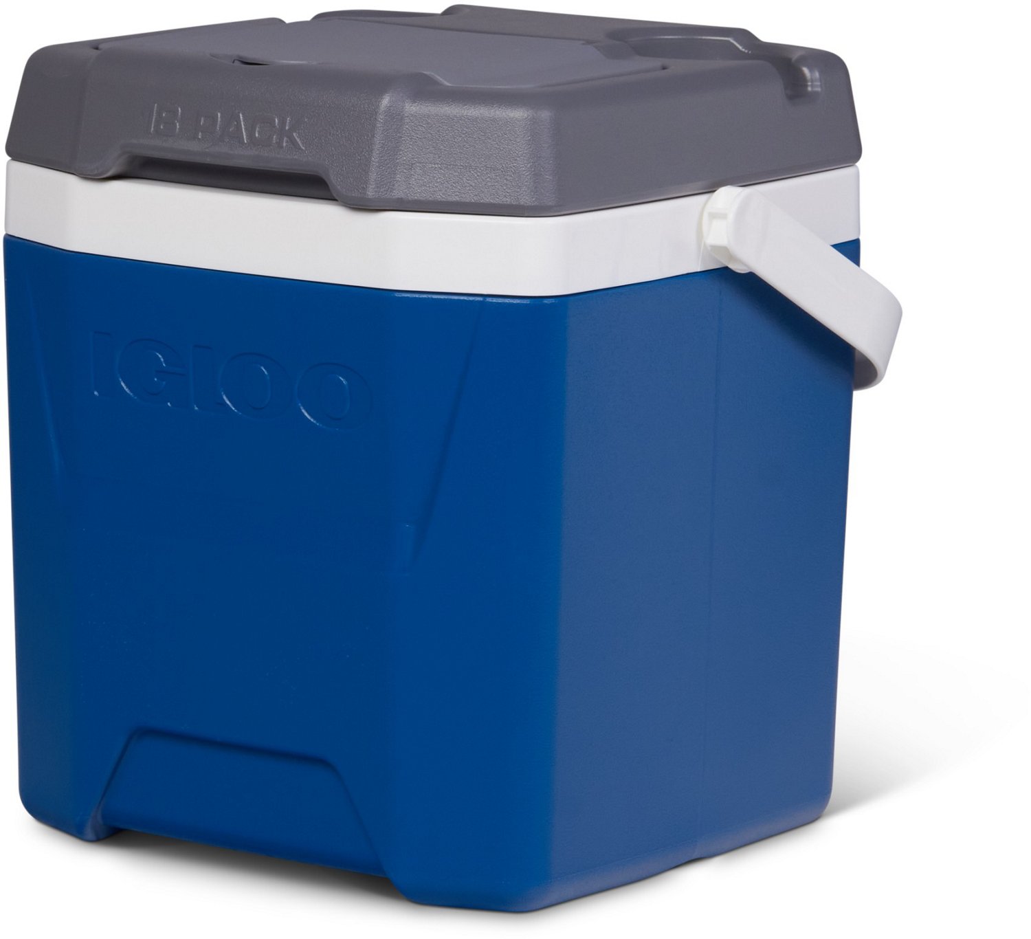 Igloo quantum store 12 quart cooler