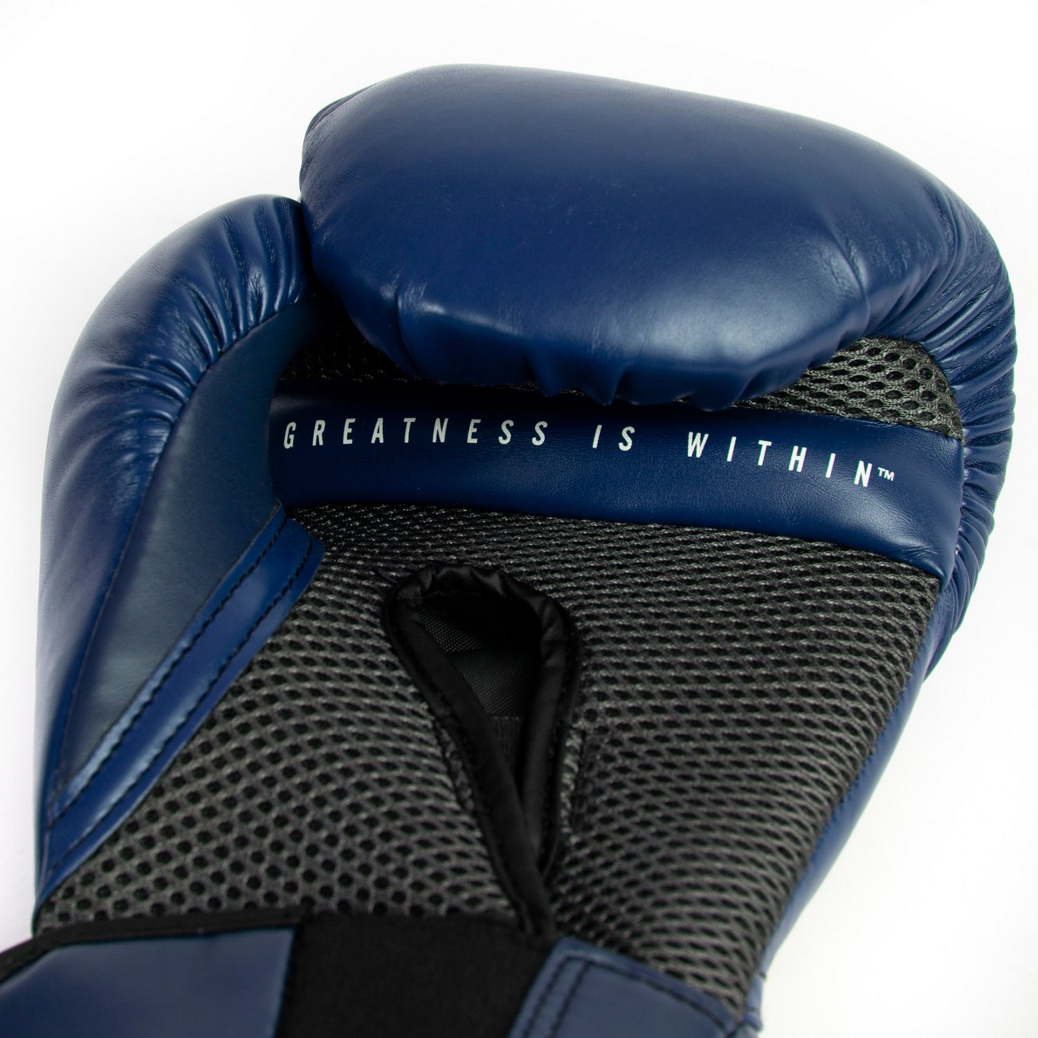 Everlast Pro Style Elite 8 oz Training Gloves - view number 7