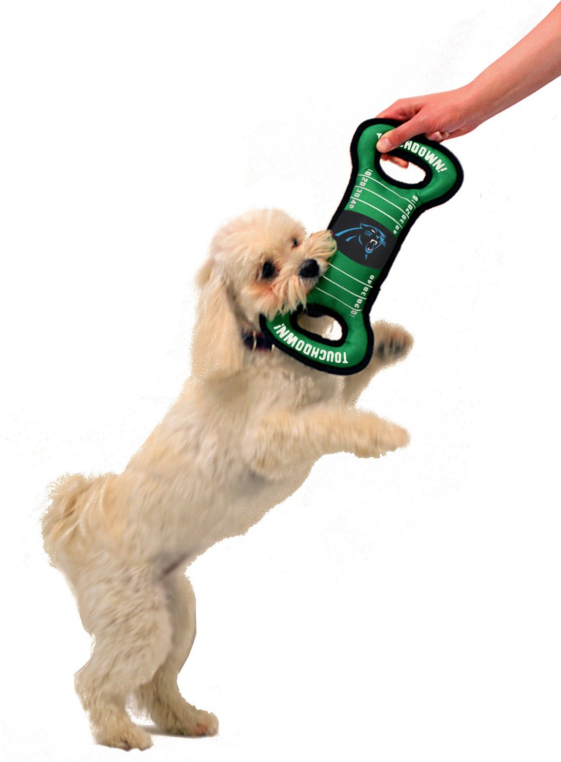 Pets First Carolina Panthers Field Dog Toy                                                                                       - view number 2