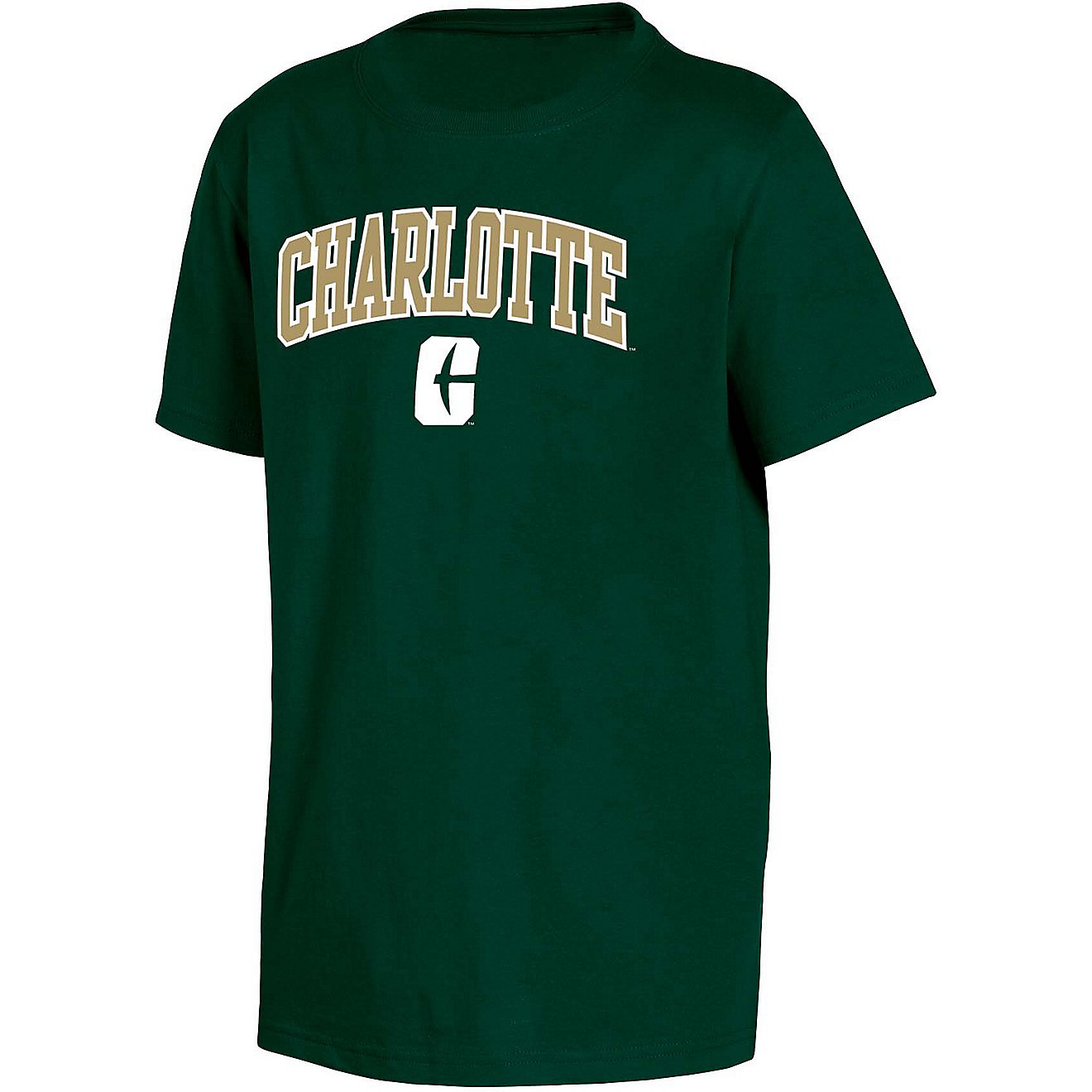 Champion Boys' University of North Carolina Team Arch Short Sleeve T-shirt                                                       - view number 1