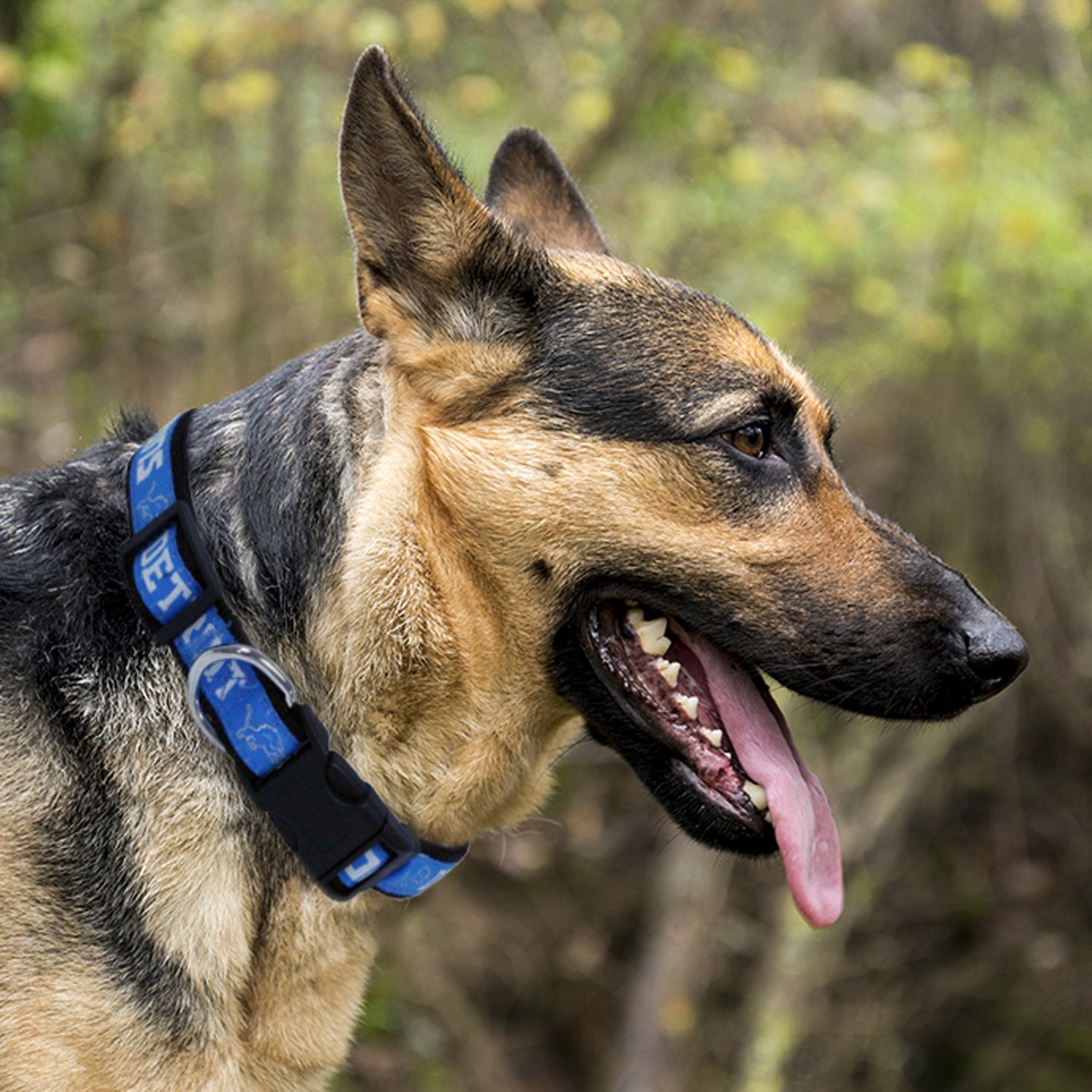 Pets First Detroit Lions Dog Collar - view number 2