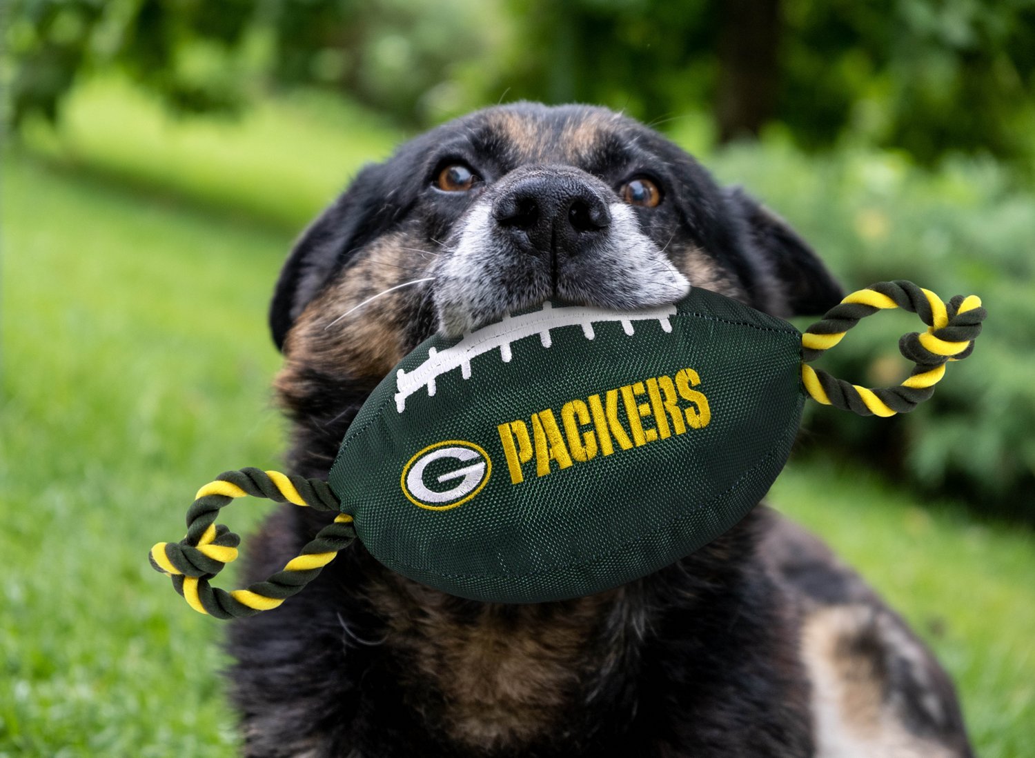 Pets First Green Bay Packers Nylon Football Rope Dog Toy                                                                         - view number 2