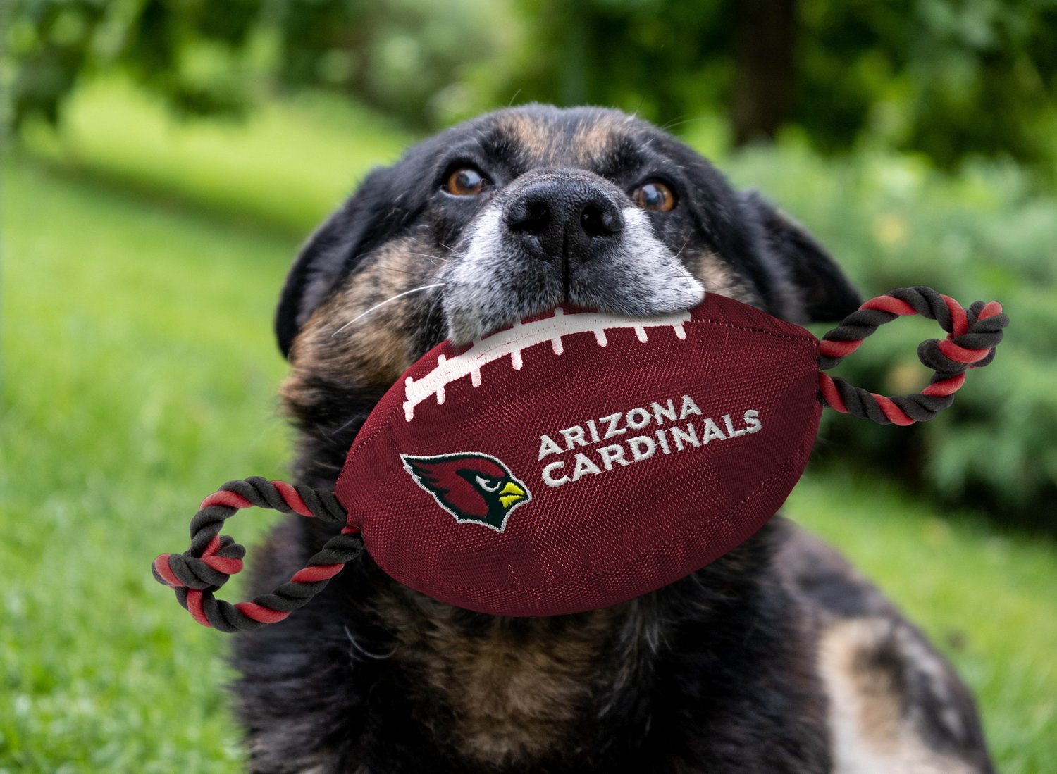 Pets First Arizona Cardinals Nylon Football Rope Dog Toy                                                                         - view number 2