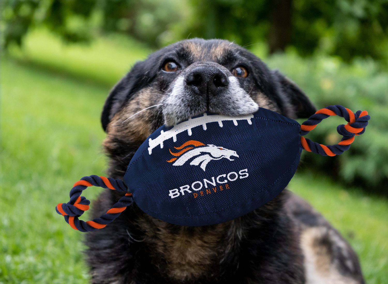 Pets First Denver Broncos Nylon Football Rope Dog Toy                                                                            - view number 2