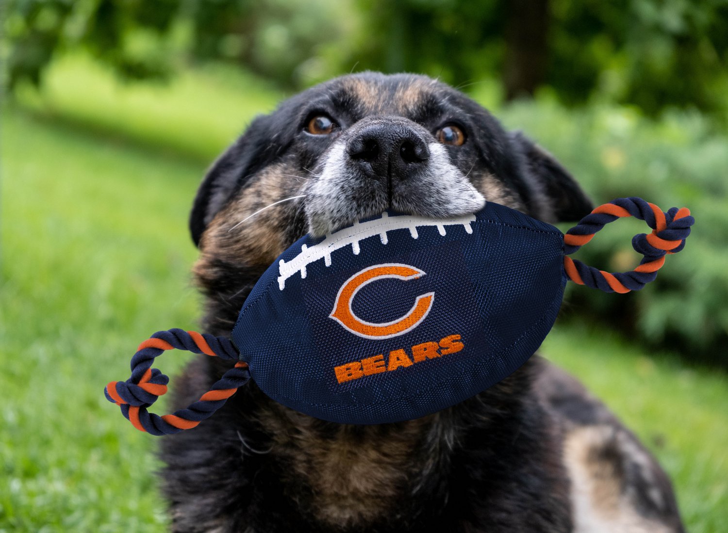 Pets First Chicago Bears Nylon Football Rope Dog Toy                                                                             - view number 2