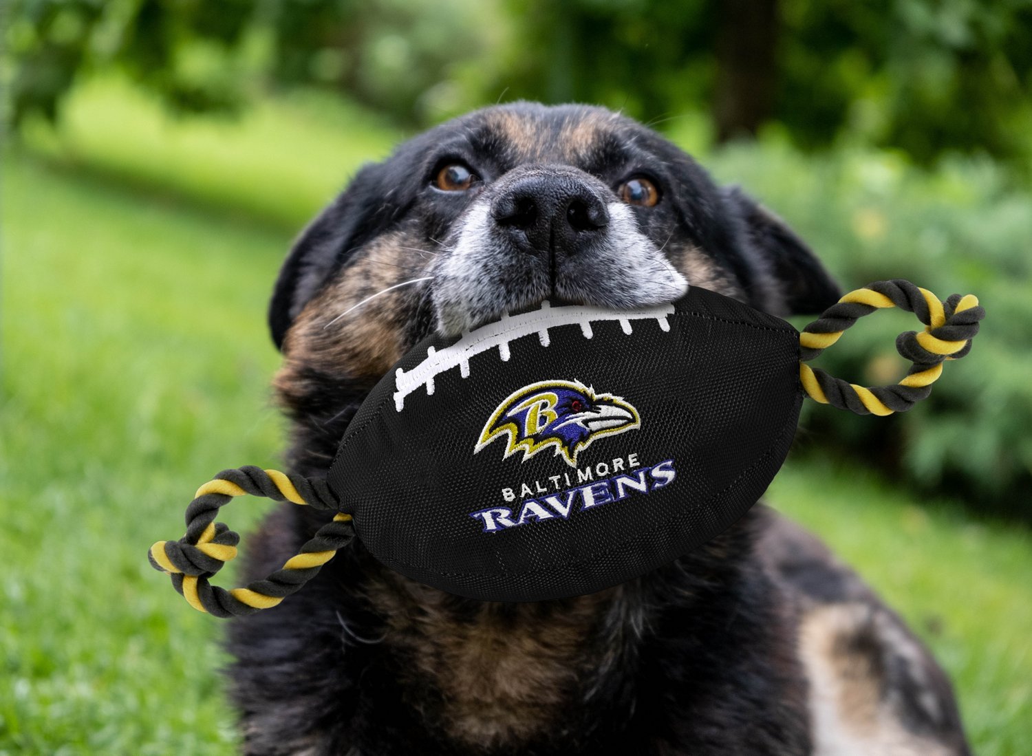 Pets First Baltimore Ravens Nylon Football Rope Dog Toy                                                                          - view number 2