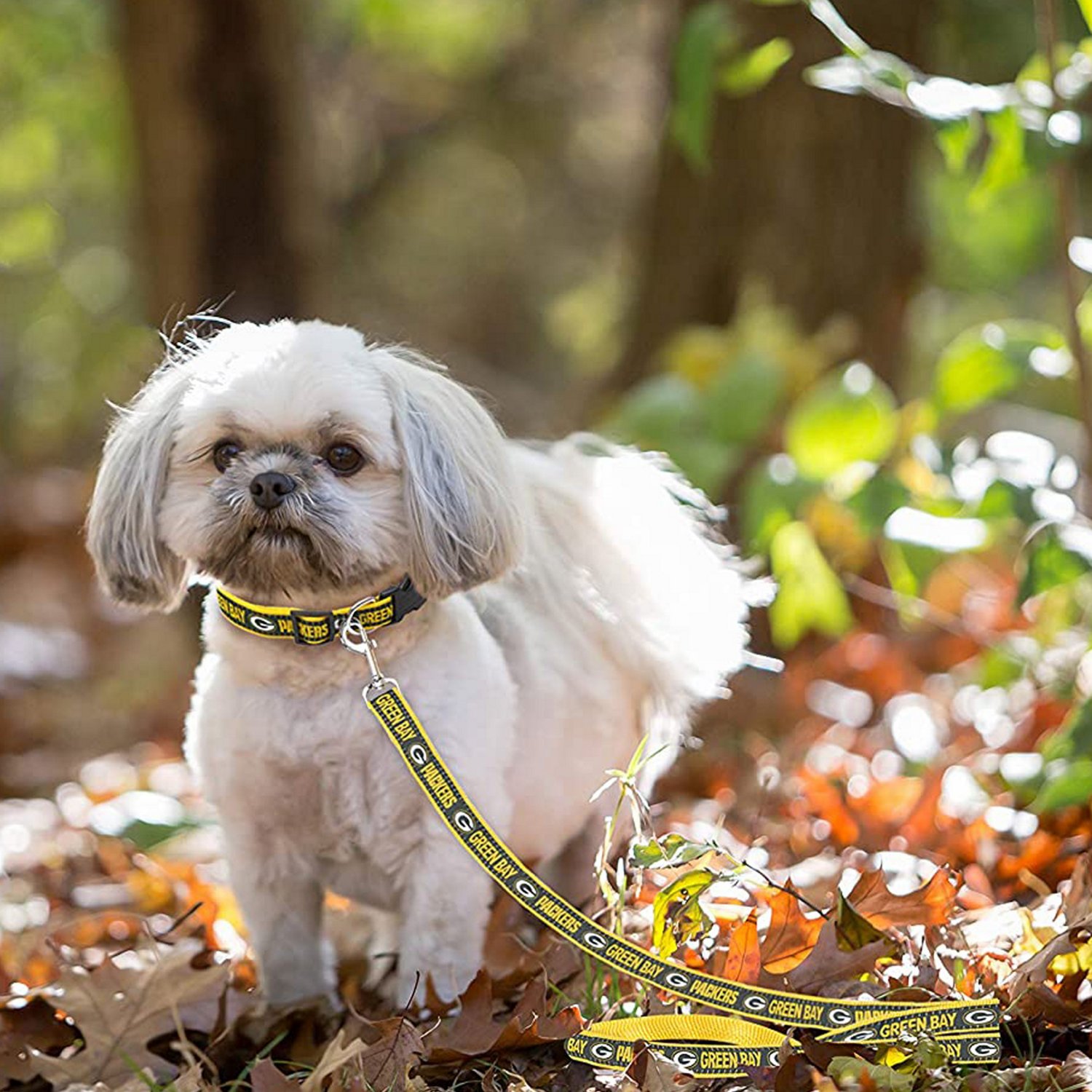 Pets First Green Bay Packers Dog Leash - view number 2