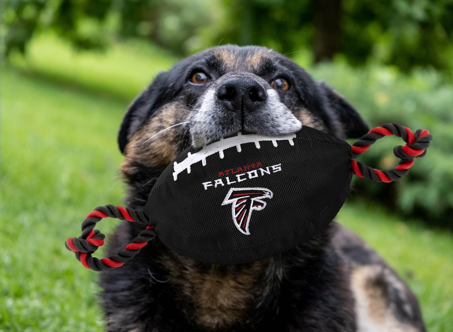 Pets First Atlanta Falcons Nylon Football Rope Dog Toy                                                                           - view number 2
